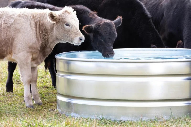 Classic Round 1.8m Stock Tank